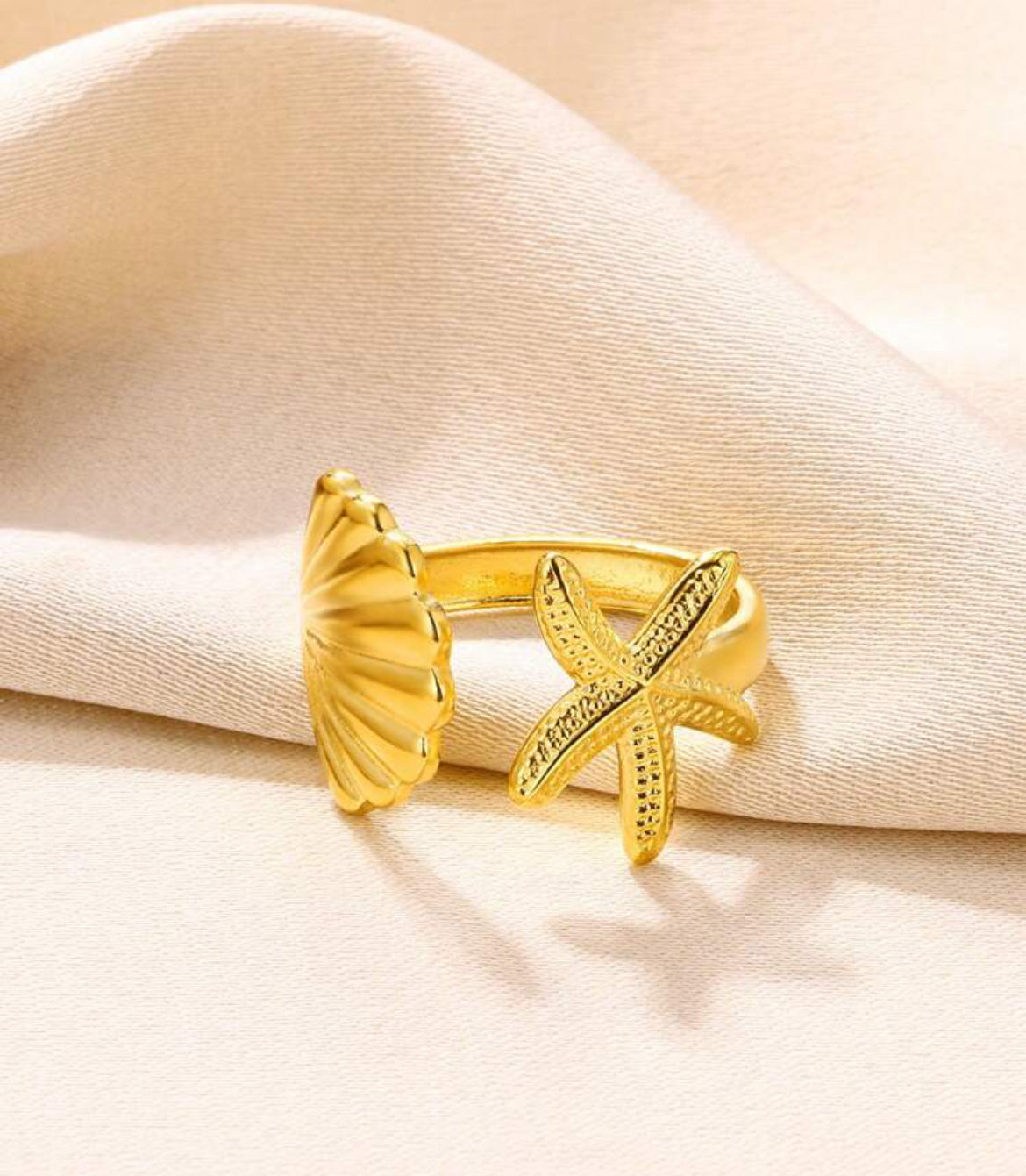 Anillo A10