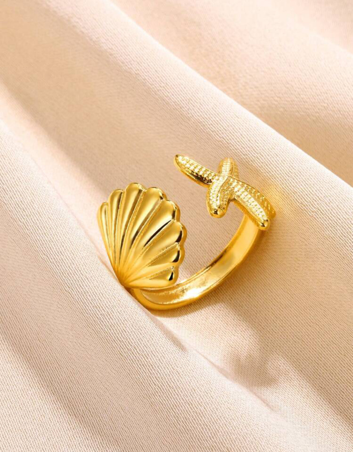 Anillo A10