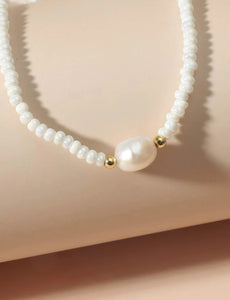 Collar C36